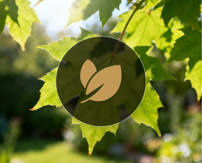 Лиственные