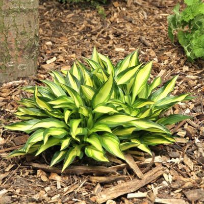 ээээээээээ