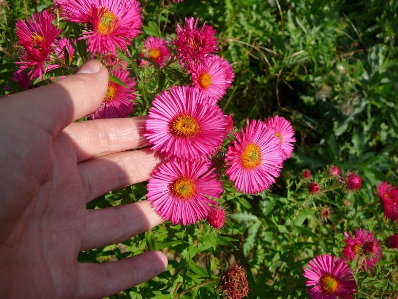 f41f4ecadd5beacc0f22a691520e800b