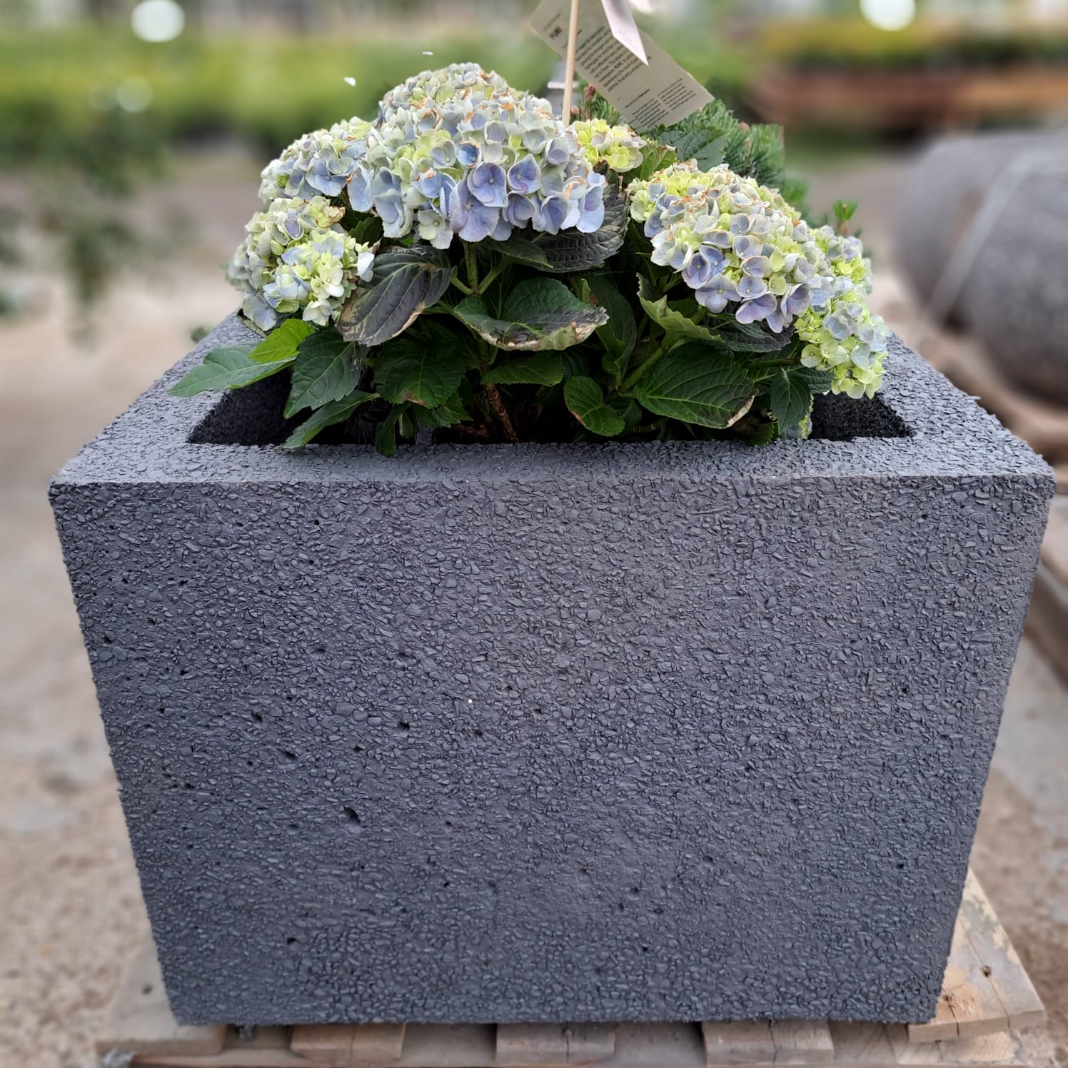 WhatsApp Image 2023-09-01 at 17.38.04