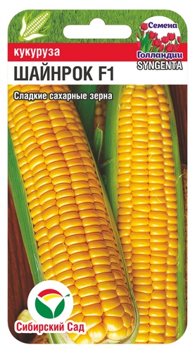 ix6n76r2x3bbo6o1xa9mi8r6581aj7i5