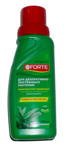 форте