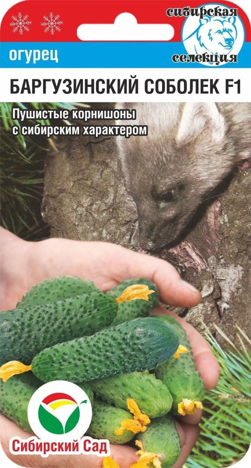 Огурец-Баргузинский-соболек-F1-7шт-_Сиб-Сад_