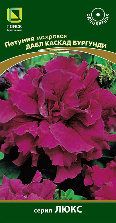 petunia_mahrov_dabl_kaskad_burgundi