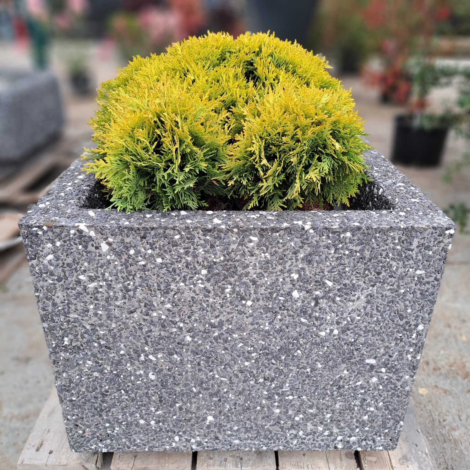 WhatsApp Image 2023-09-01 at 17.38.03 (2)