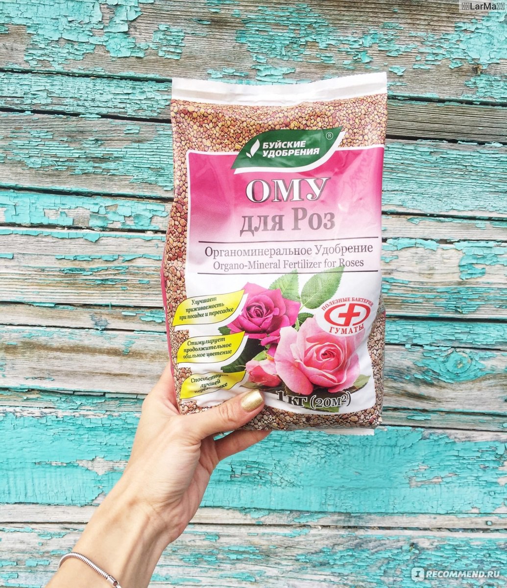 gEcqlkRA53Af5wZEOgYSQ