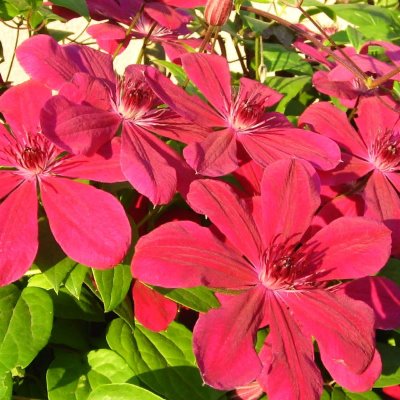 НоменклатураПрисоединенныеФайлы