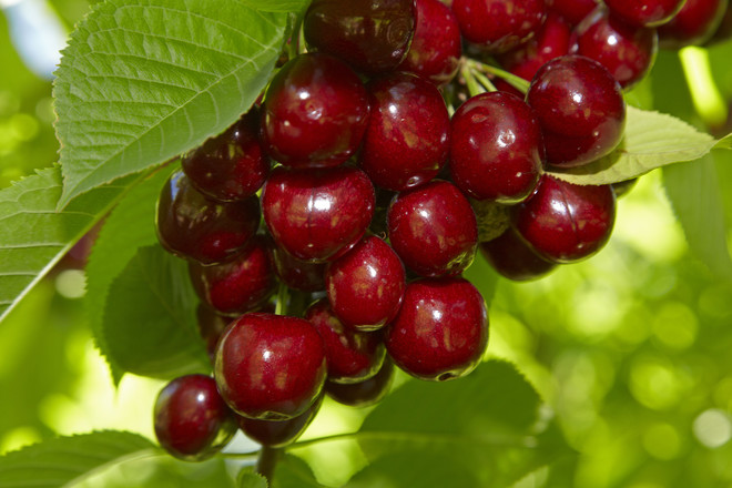 молодежная