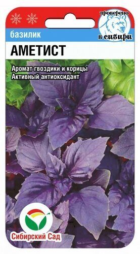 y323b7y8fr1fq4nxxcwh5995r8fise9e