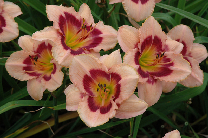 5a9136b6d138b3a6771f6b62