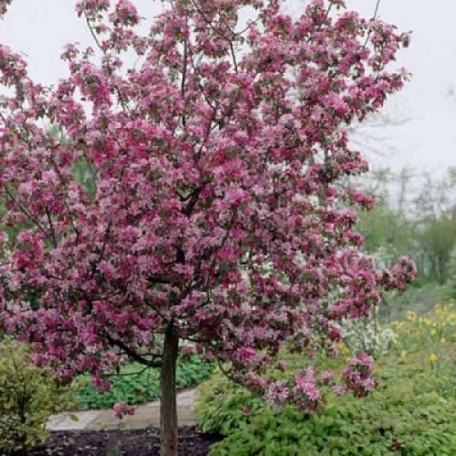 НоменклатураПрисоединенныеФайлы