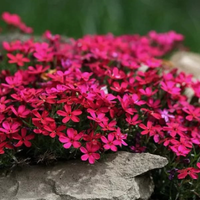 463887cee4df2165d37b1650ff16c344