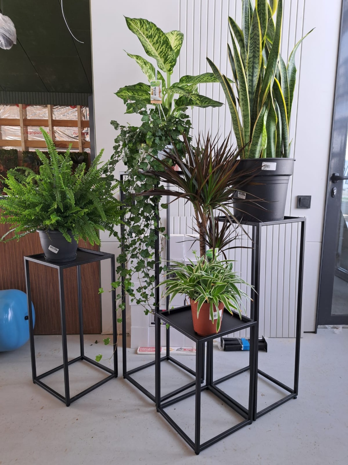 WhatsApp Image 2024-03-01 at 15.38.44 (3)