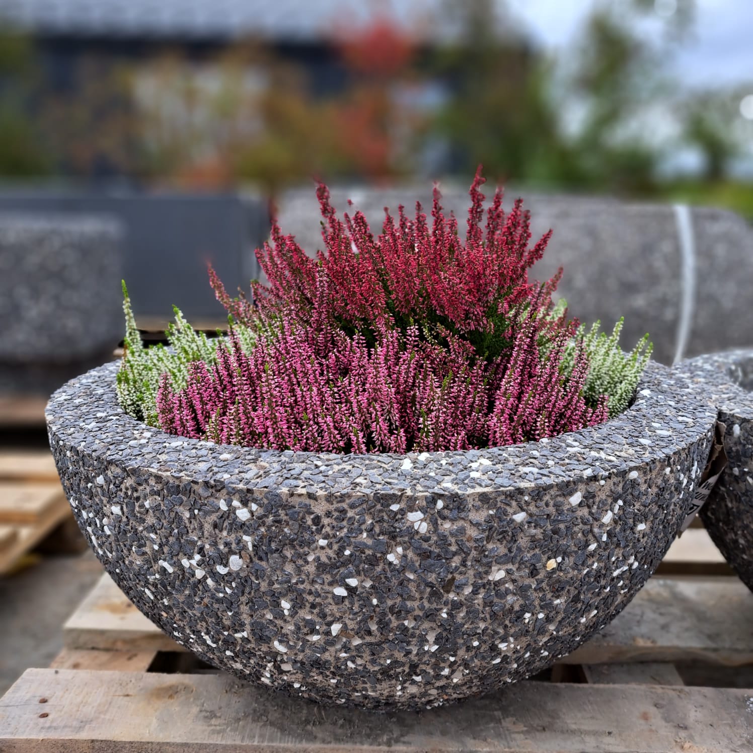 WhatsApp Image 2023-09-01 at 17.38.02 (2)