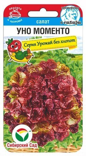 c4mo7vwn25bpztbfqcv2bq5bxxltgrrh