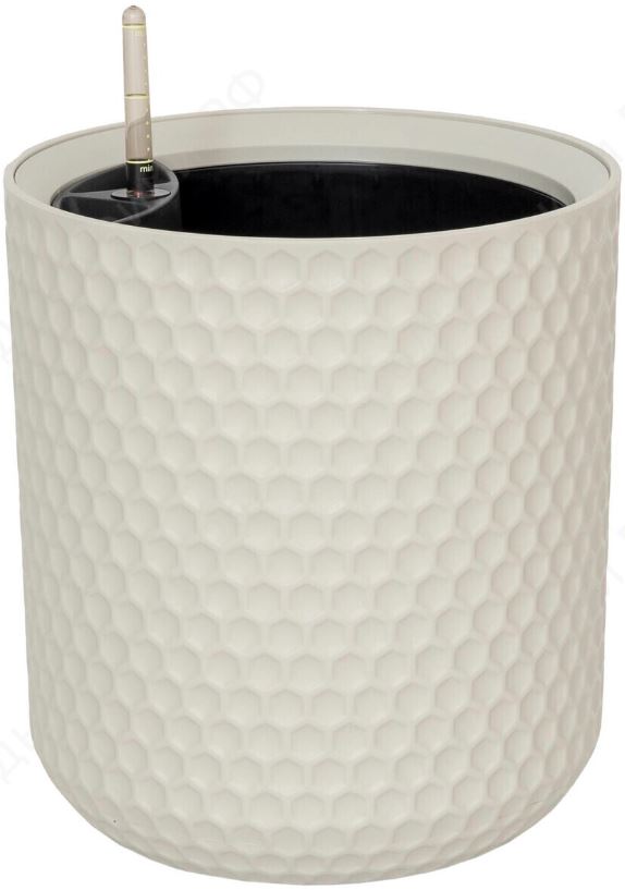 белое оло дом