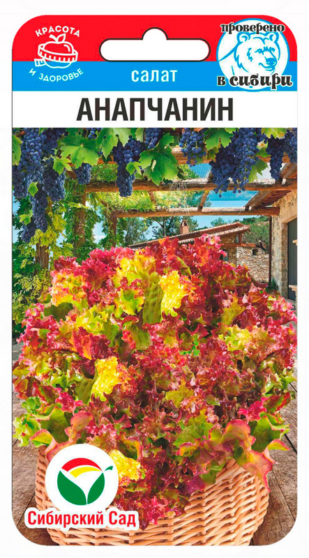 u9r8ksvgi3346g56krnn4ussg3izzaom