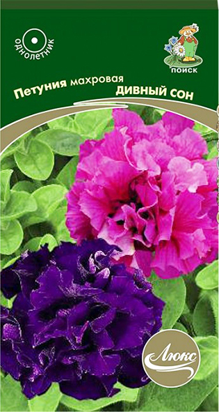 6q94rt4qut3d601s4ef32pt2ph78vfg1