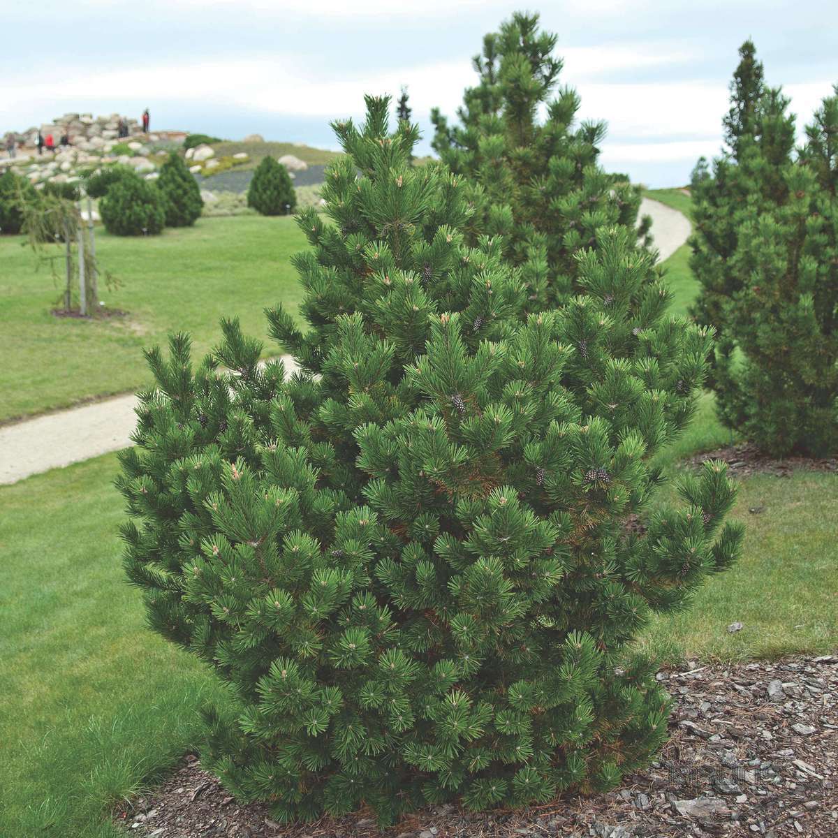 e323998c_8ec6_11ea_8dcf_ac1f6b473b7b_52c158ba_6d1a_11eb_8de0_ac1f6b473b7b