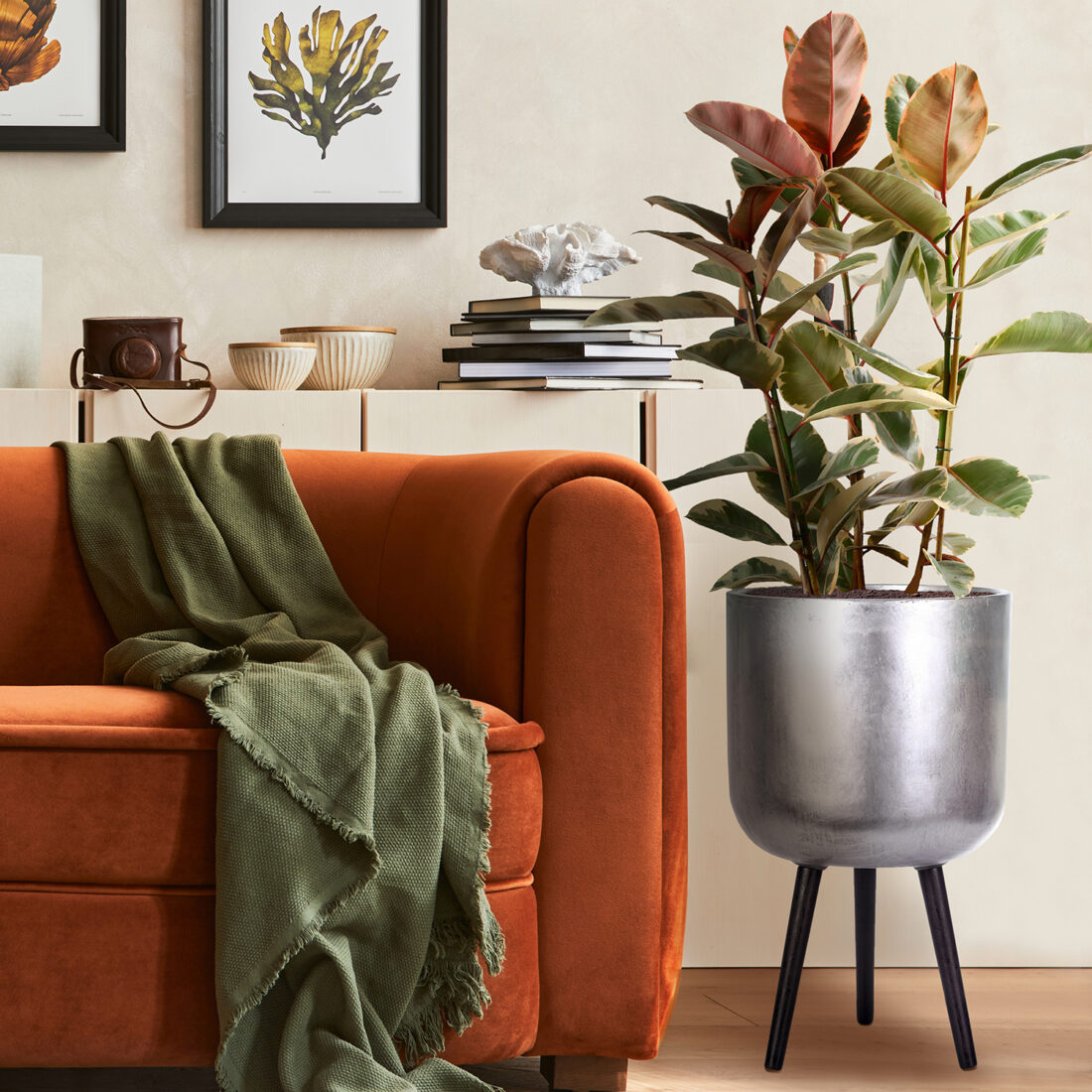 НоменклатураПрисоединенныеФайлы