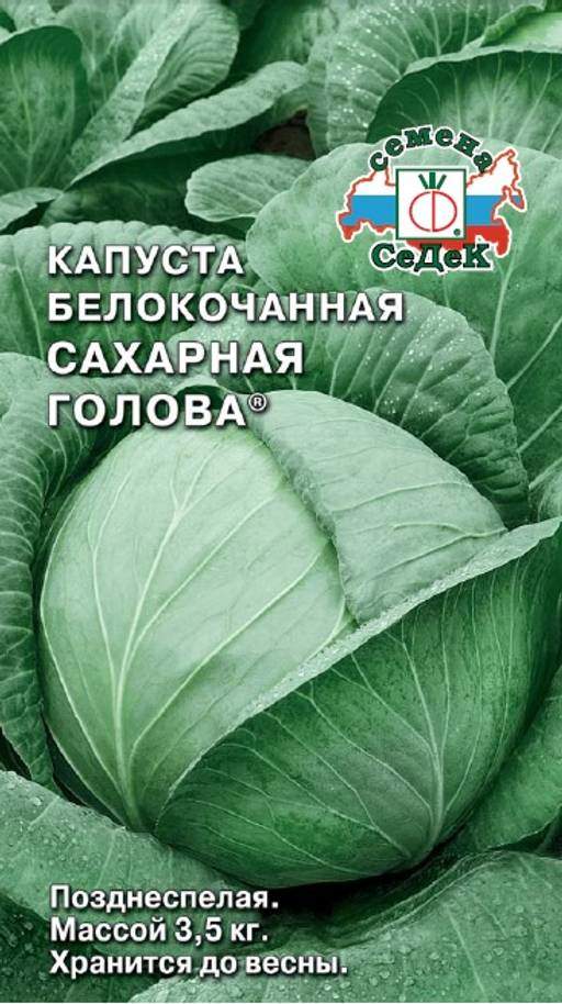 Капуста белокочанная Сахарная голова (СеДек)