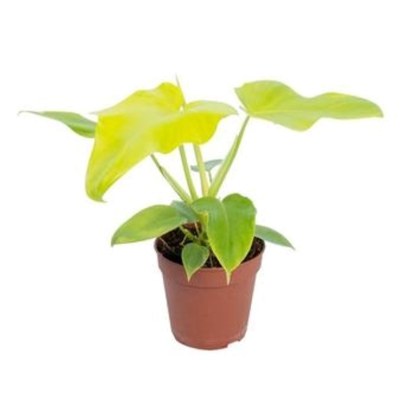 bdmedt9y7yriw4hqtfeu0bs3qfu5sdg3333