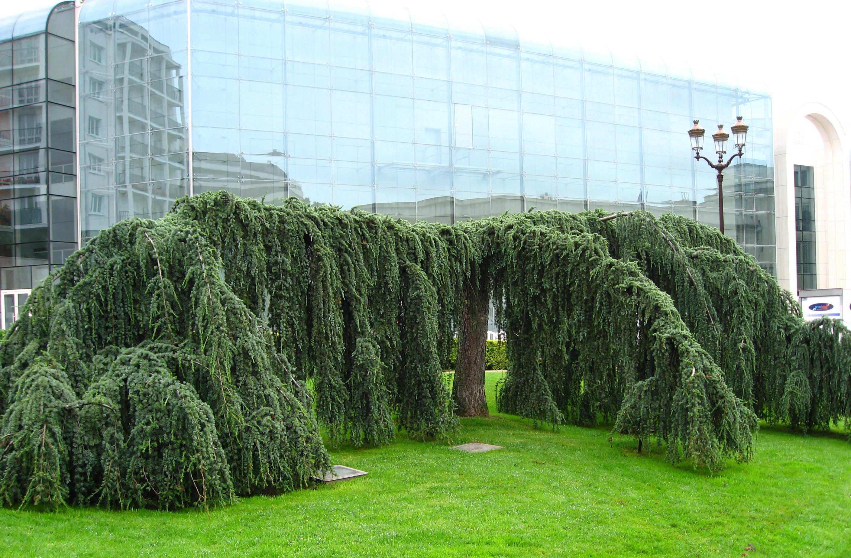 НоменклатураПрисоединенныеФайлы