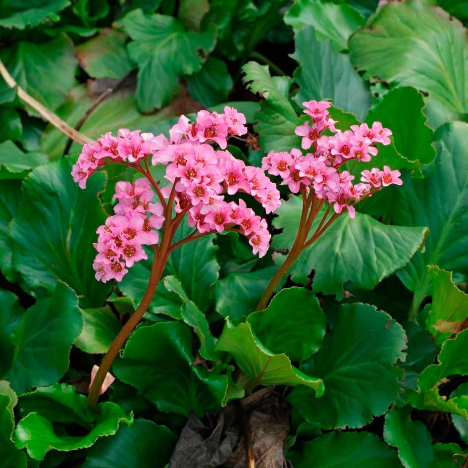 3c6f6a764e55d6dd2f80d98870e74da2