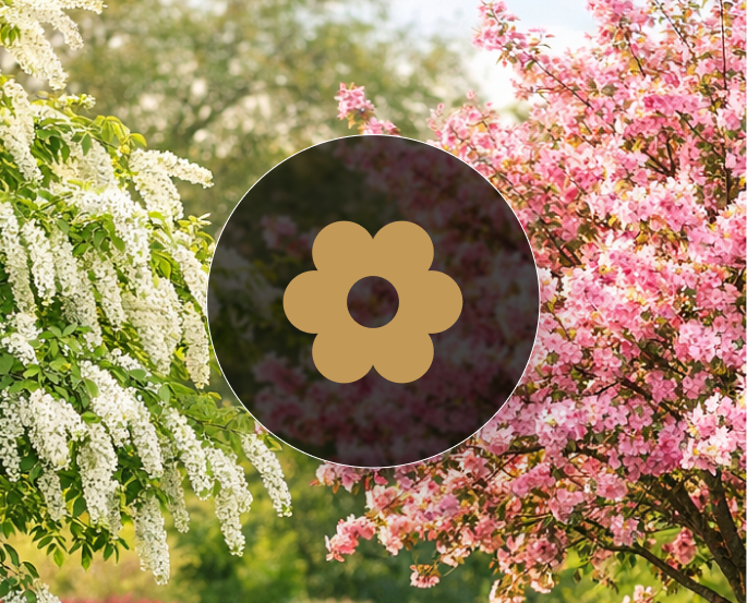 Декоративные