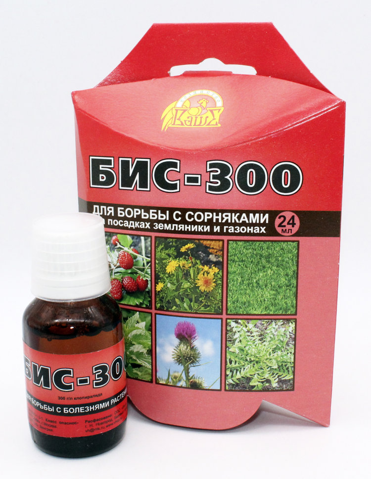 бис-300