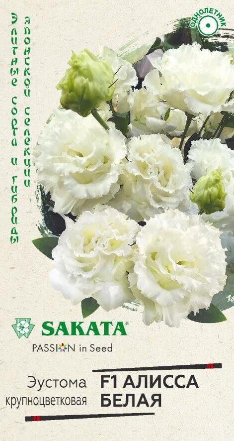 8vi3og5domsvflin2i0ey7gfpz5uth7i