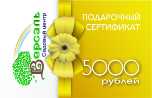 sertifikat5000