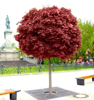 НоменклатураПрисоединенныеФайлы