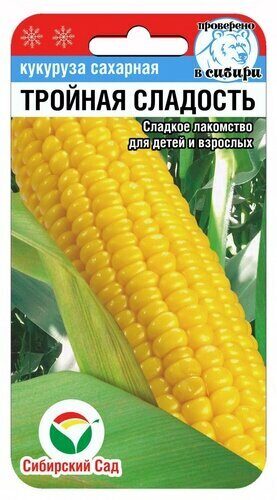 yf2vhddl78d0wstsadcnq13x5lzr1mzu