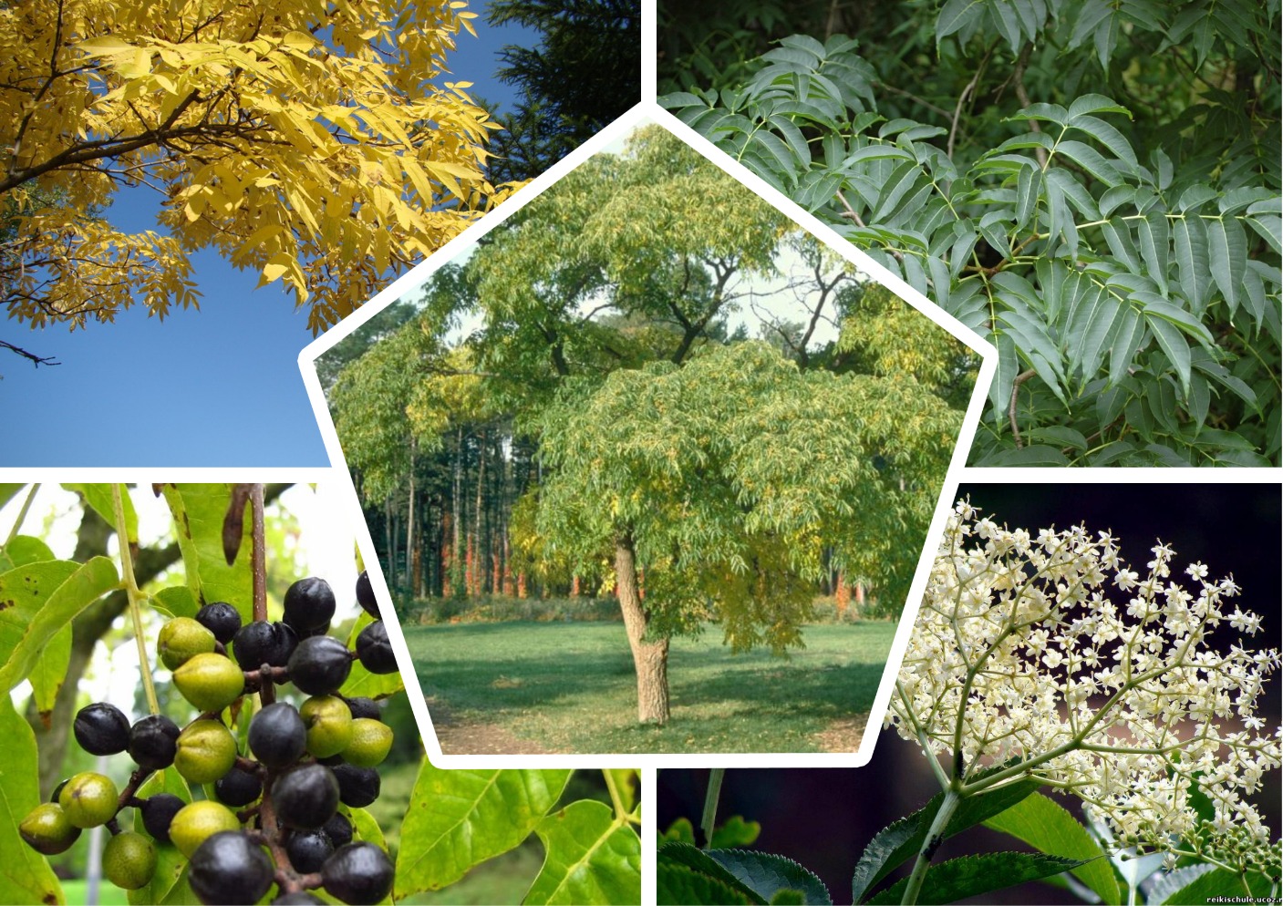 НоменклатураПрисоединенныеФайлы