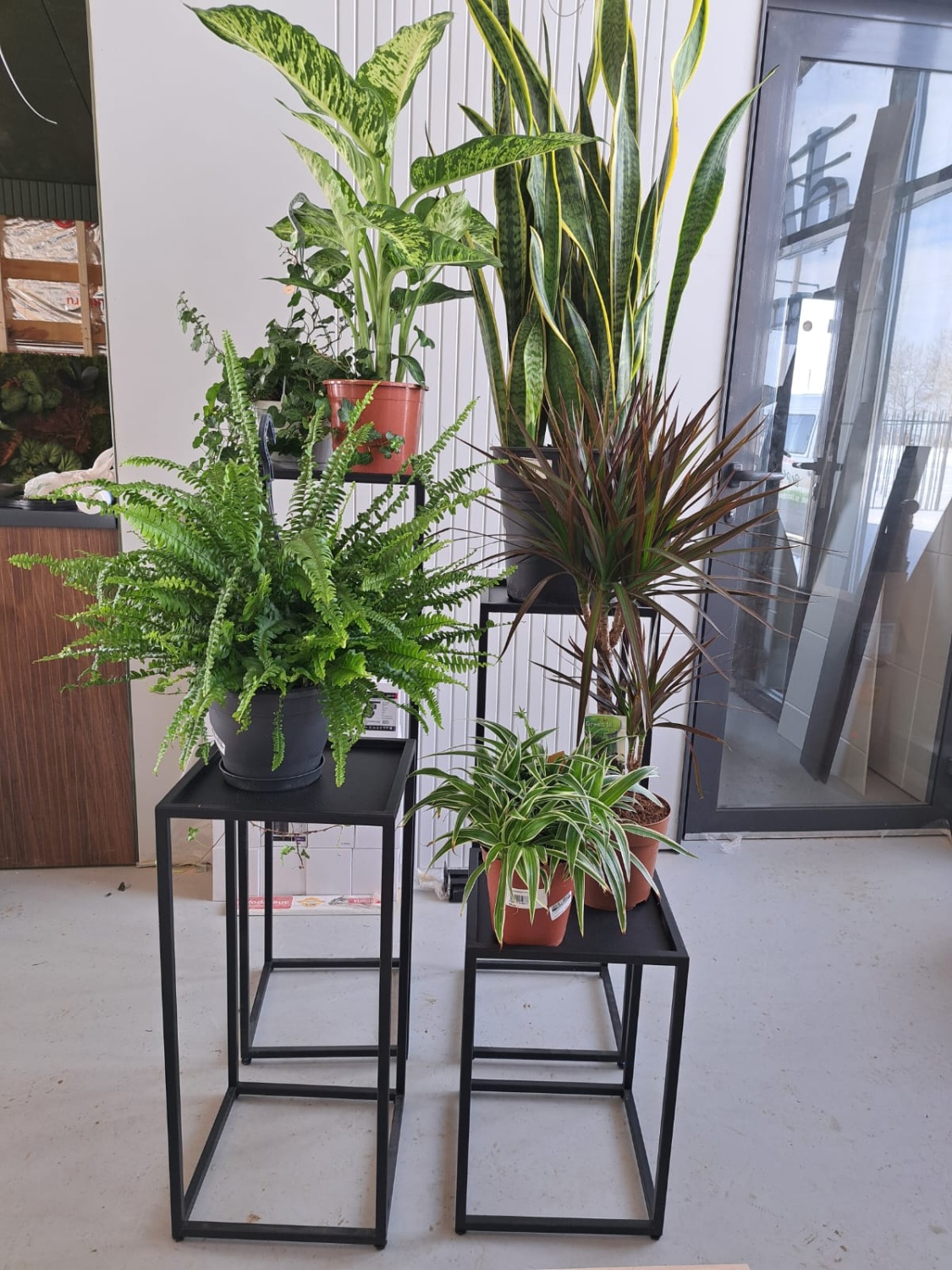 WhatsApp Image 2024-03-01 at 15.38.43