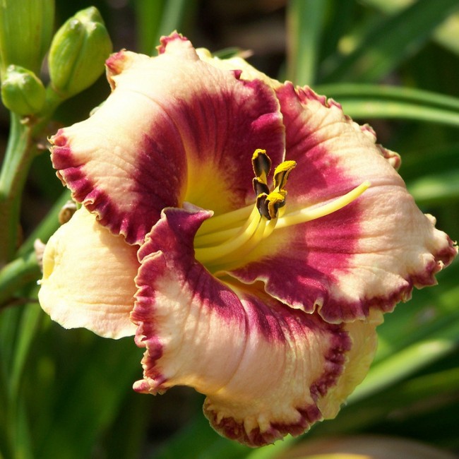 1-img_424_1135-1000x1000