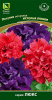 petunia_mahrov_istoria_lubvi