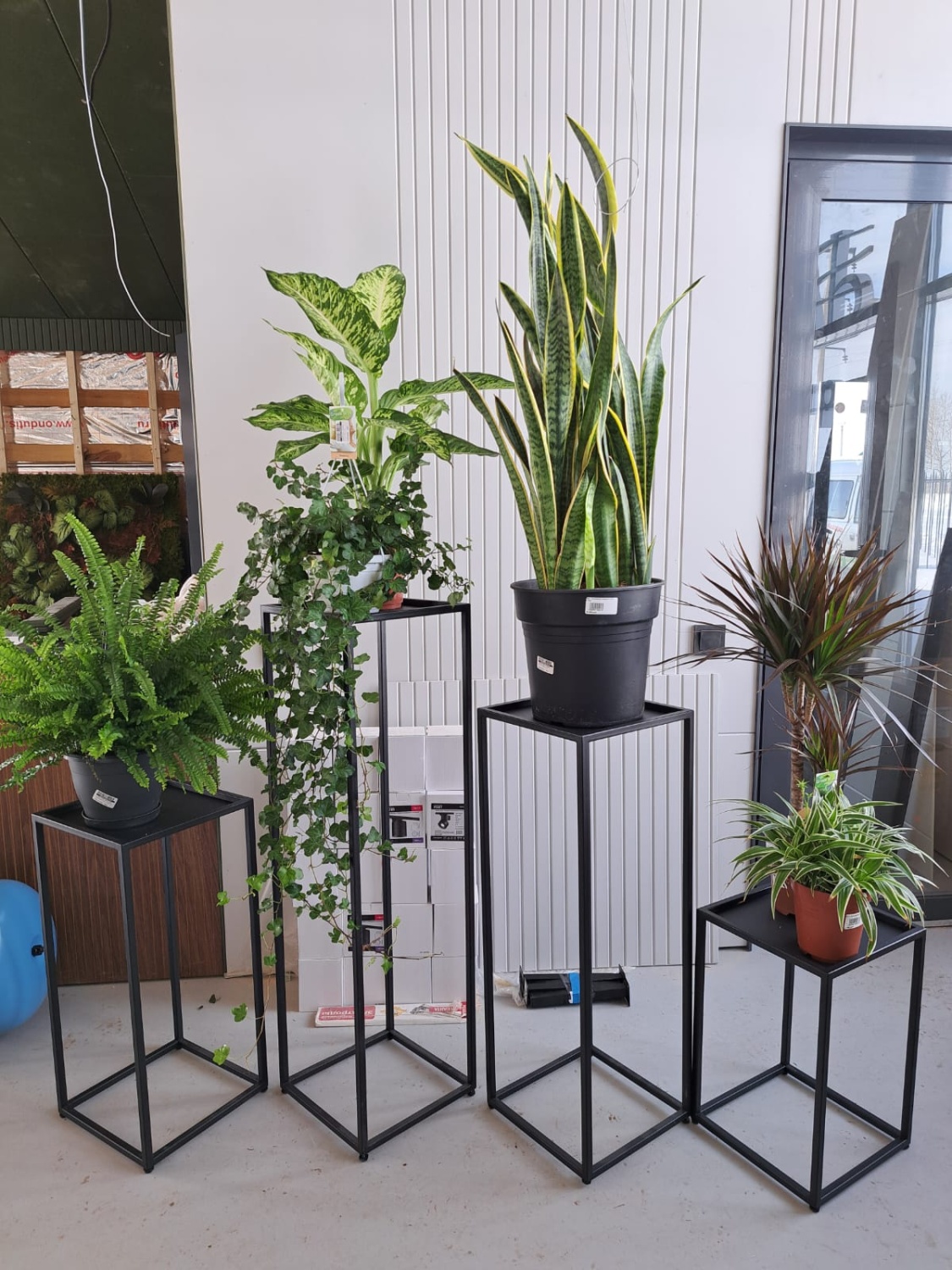 WhatsApp Image 2024-03-01 at 15.38.44