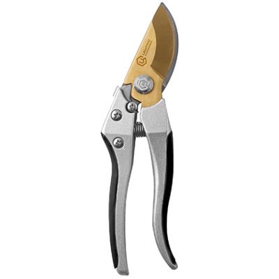 bf93e081c542cb63814f09133028857f.jpg 1381