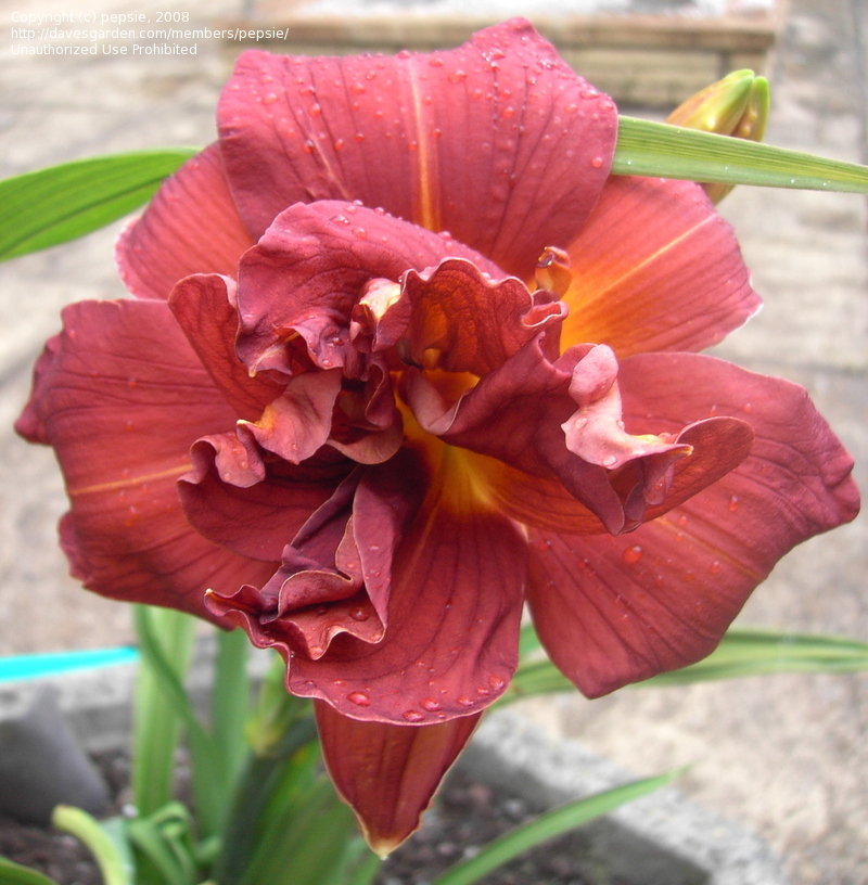 5a9136b6d138b3a6771f6b62