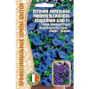 petunija_ampelnaja_minimultiflora_pendolino_blju_f1-750x750