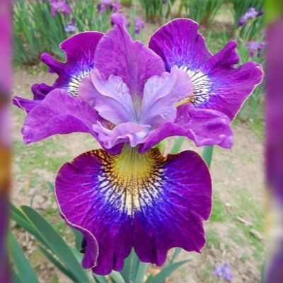 1_ТЫСЯЧА ПОЦЕЛУЕВ