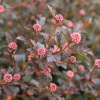 F55D~1