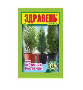 Здравень хвойн