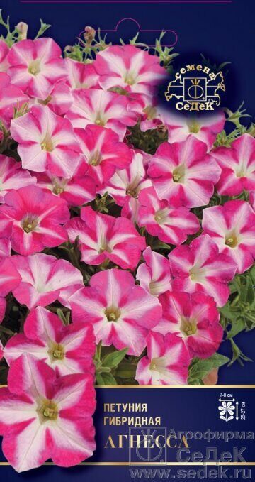 6o9dfxrjvq1mrsz38zuan4kxjuvm3k5f