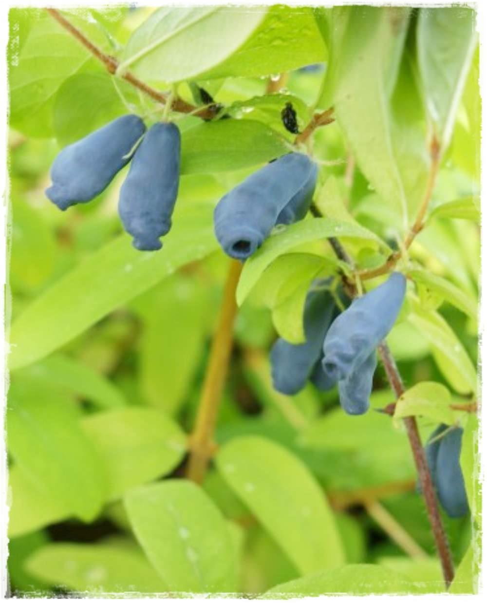 01acf31cf2ab4ac1bc65d08c420044b3