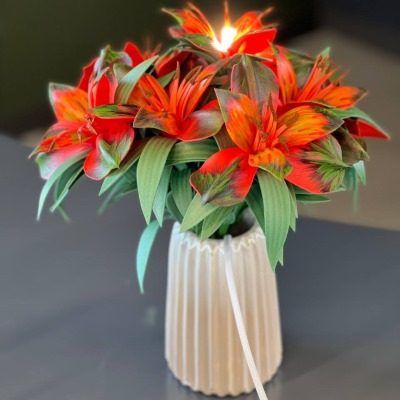 WhatsApp Image 2024-03-19 at 12.41.33 (2)