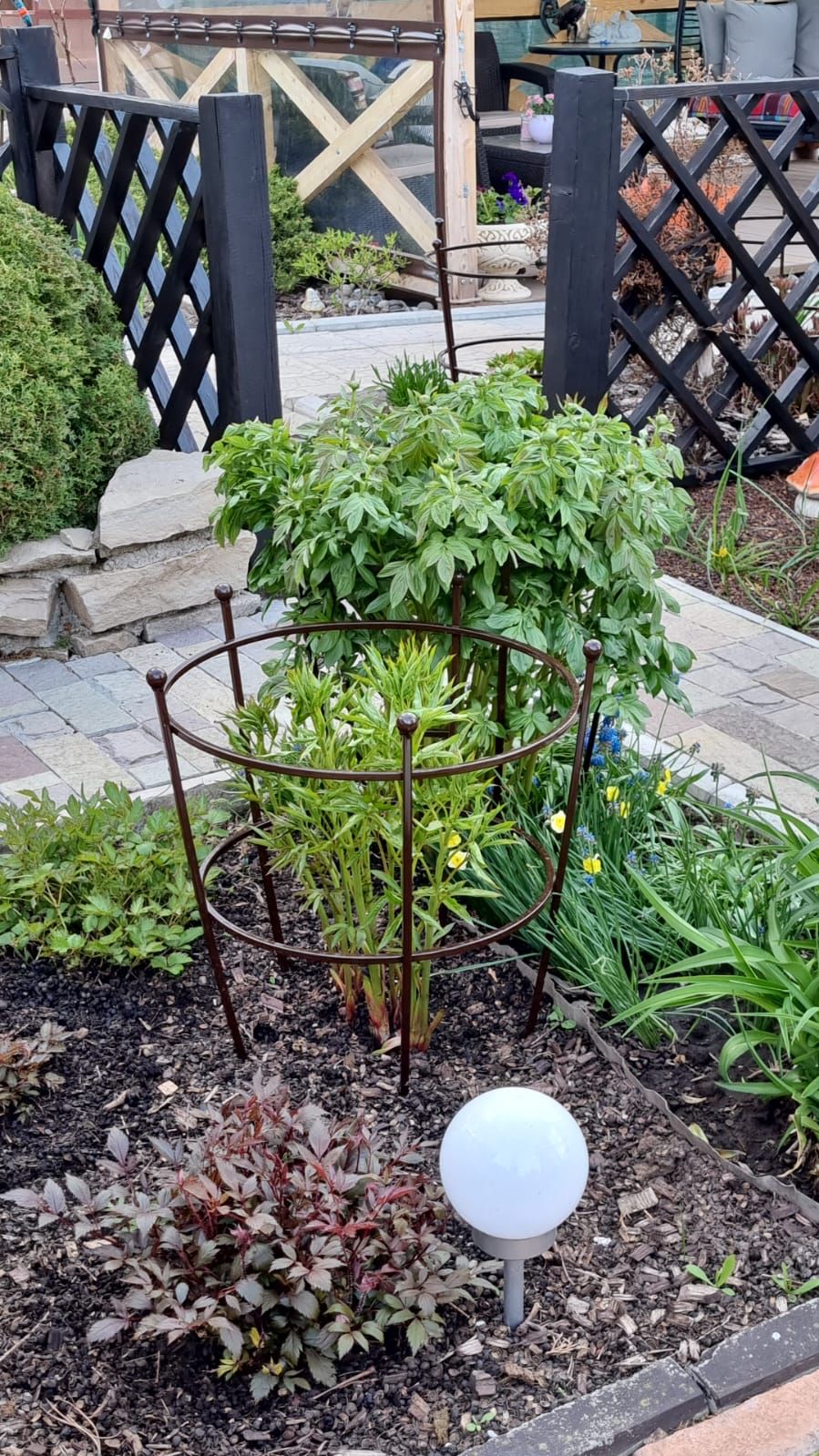 d623502a-5515-4890-a79e-3136d2324c3f