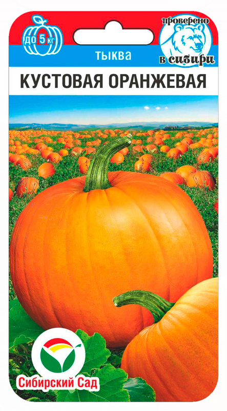 qgotbrf881sg3a5802ilvj9vdtsltmur